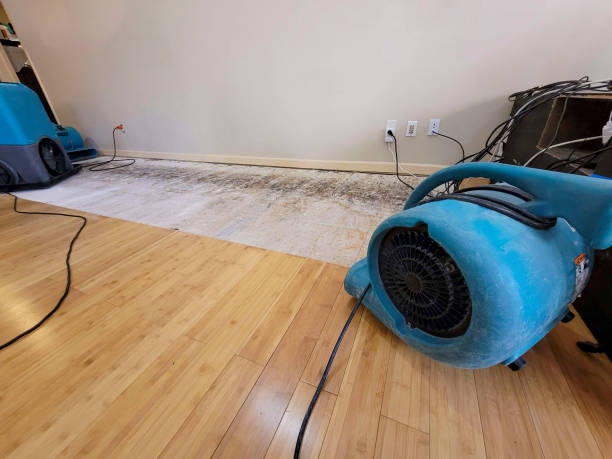Professional Ceiling Water Damage Repair technician working in Gales Ferry, CT